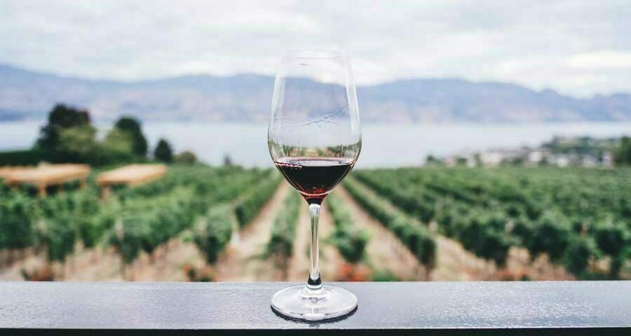 Weinangebote von renommierten Weinhändlern