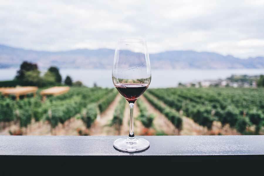 Weinangebote von renommierten Weinhändlern