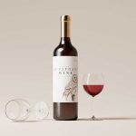 Von elegant bis kraftvoll: Südafrikas Weine im Fokus - Welcher passt zu dir?